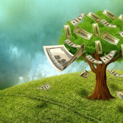 Tree growing money
